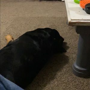 Meet your Posher, Mike